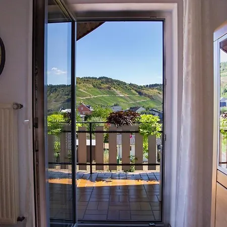 Apartment Ferienweingut Juergen Beth *