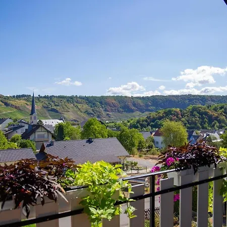 Ferienweingut Juergen Beth Apartment
