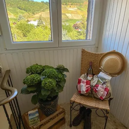 Ferienweingut Juergen Beth, Kirchlay Apartment Krov