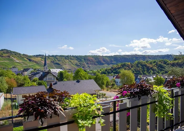 Ferienweingut Juergen Beth アパート